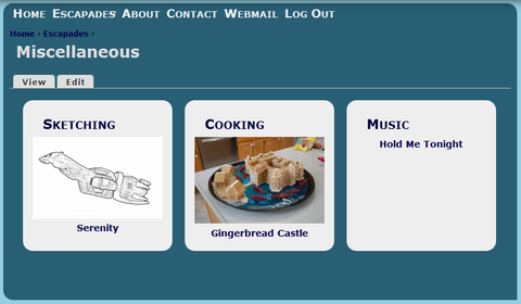 Isn't it pretty? The list view, at the top of each of taxonomy page