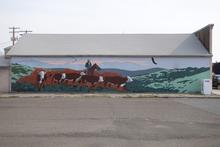 Cow mural