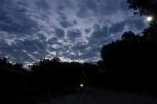 As usual, I was up a little early. Morning clouds are gorgeous. Predawn clouds